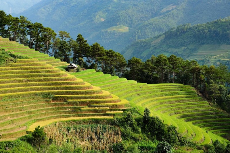 Eco-Tourism Escapes